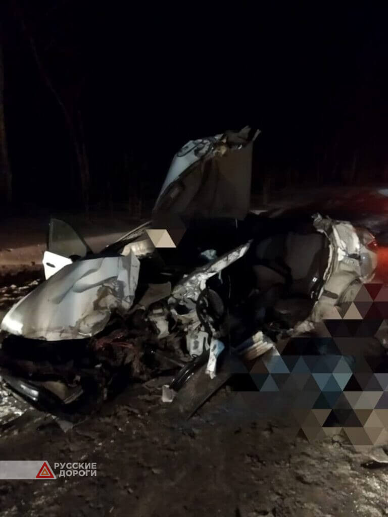 Мужчина и женщина разбились на трассе в Новосибирской области
