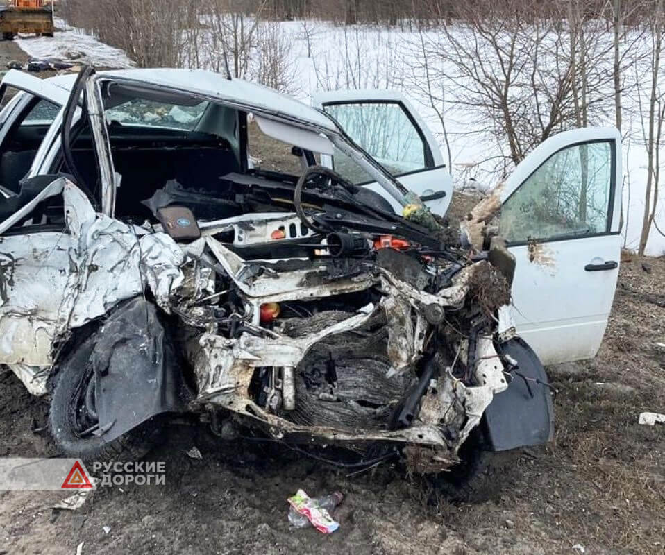В Воронежской области пьяный водитель убил мать с двумя детьми