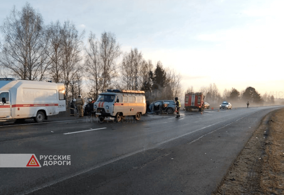 Отец и сын разбились под Почепом