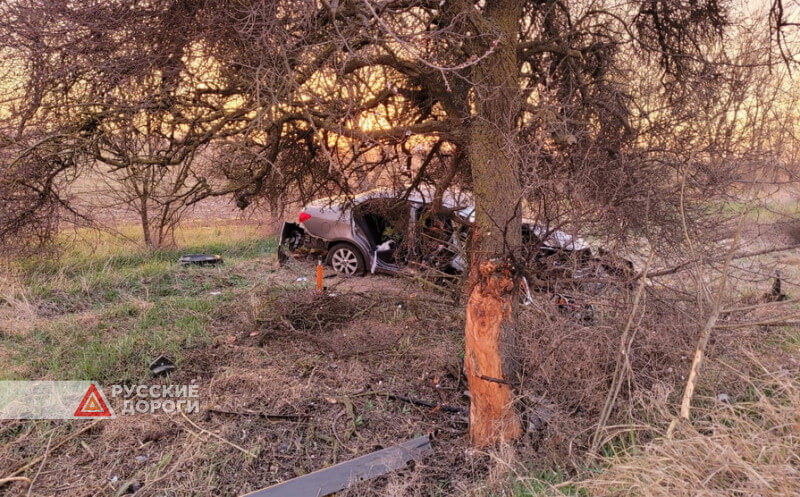 Chevrolet врезался в дерево в Джанкое