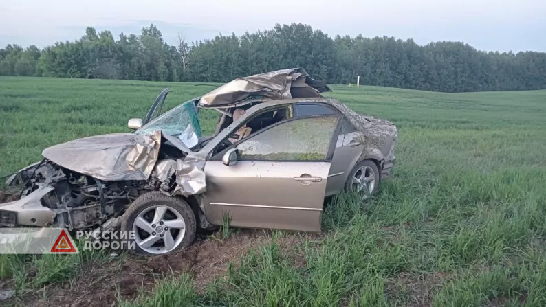 Два человека и лось погибли в Томской области