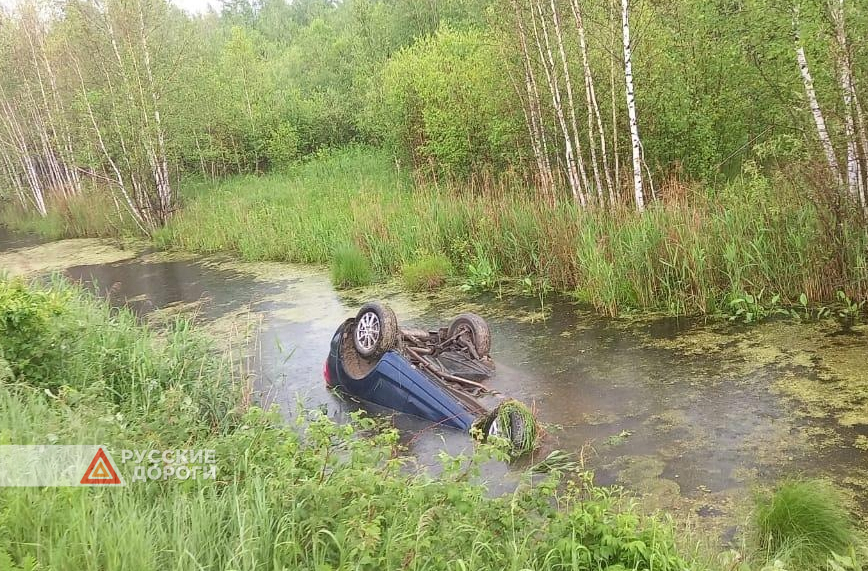 Мужчина и женщина утонули в канаве с водой в Новосибирской области