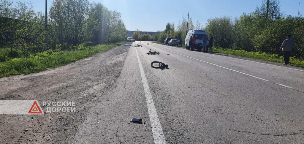 В Пермском крае пьяный водитель сбил детей