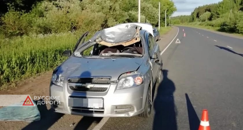 В Кирово-Чепецке автомобиль сбил лося