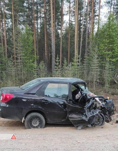 Женщина погибла в ДТП в Пинежском районе