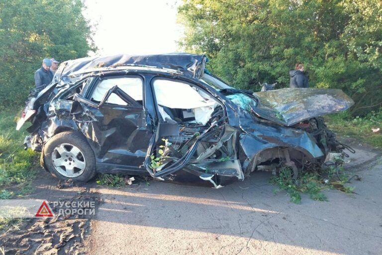 Водитель и пассажир разбились на Audi Q5 в Тамбовской области