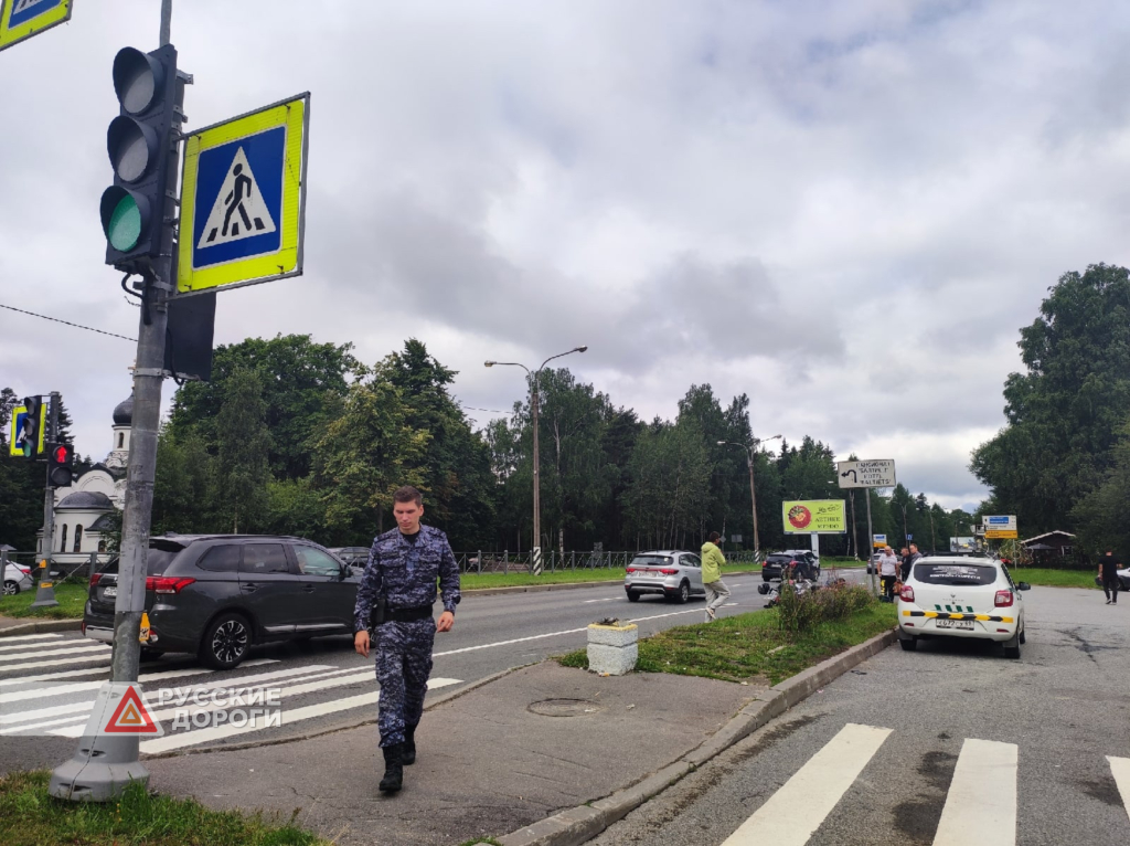 Мотоциклист сбил пешеходов на Зеленогорском шоссе в Санкт-Петербурге