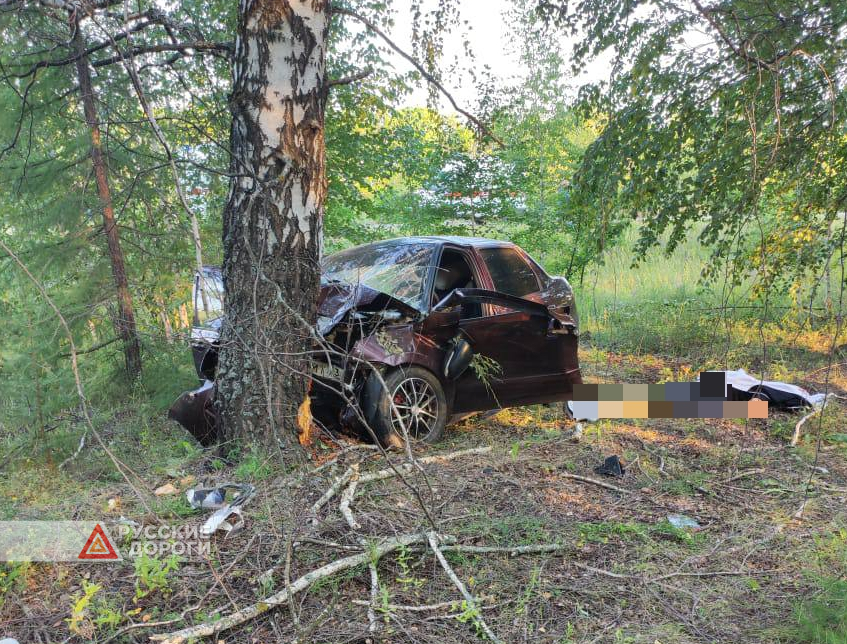 Житель Ульяновска разбился в Чувашии