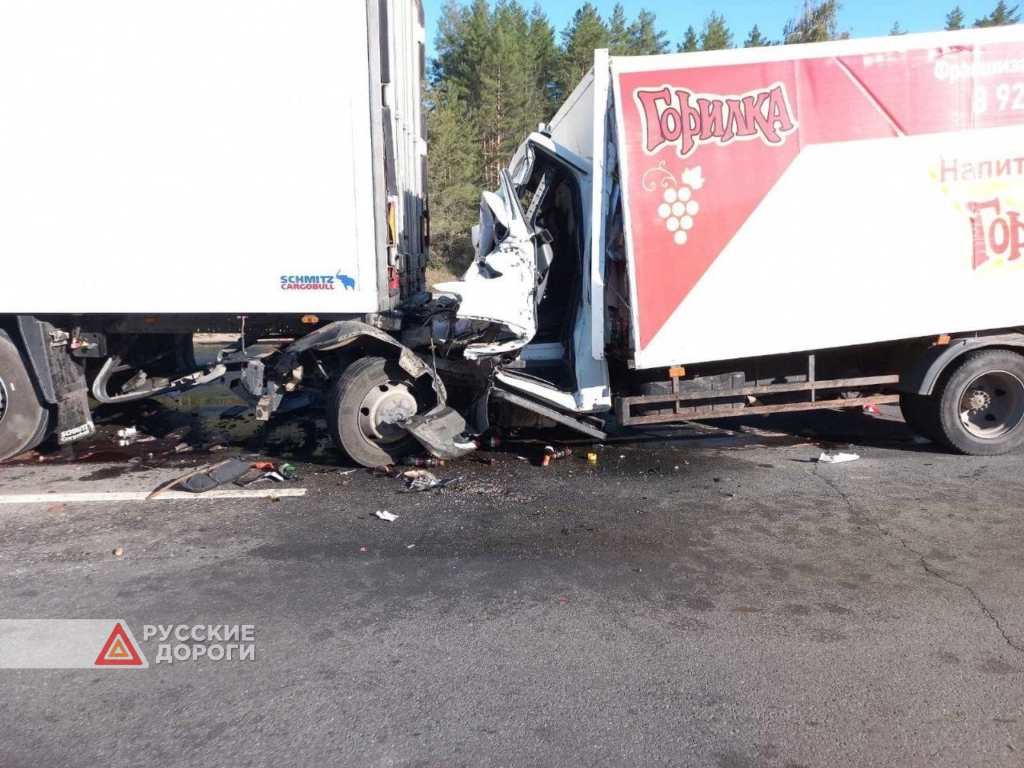 Водитель и пассажир грузовика разбились на трассе М-5