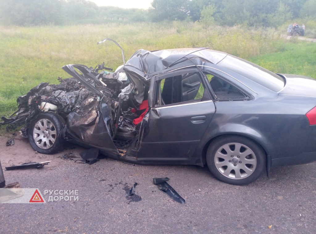 Двое мужчин разбились в Курской области