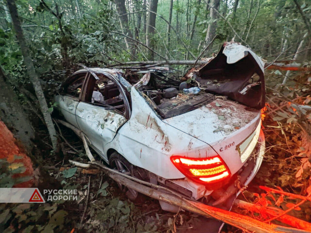 В Ярославской области девушка погибла после наезда автомобиля на лося