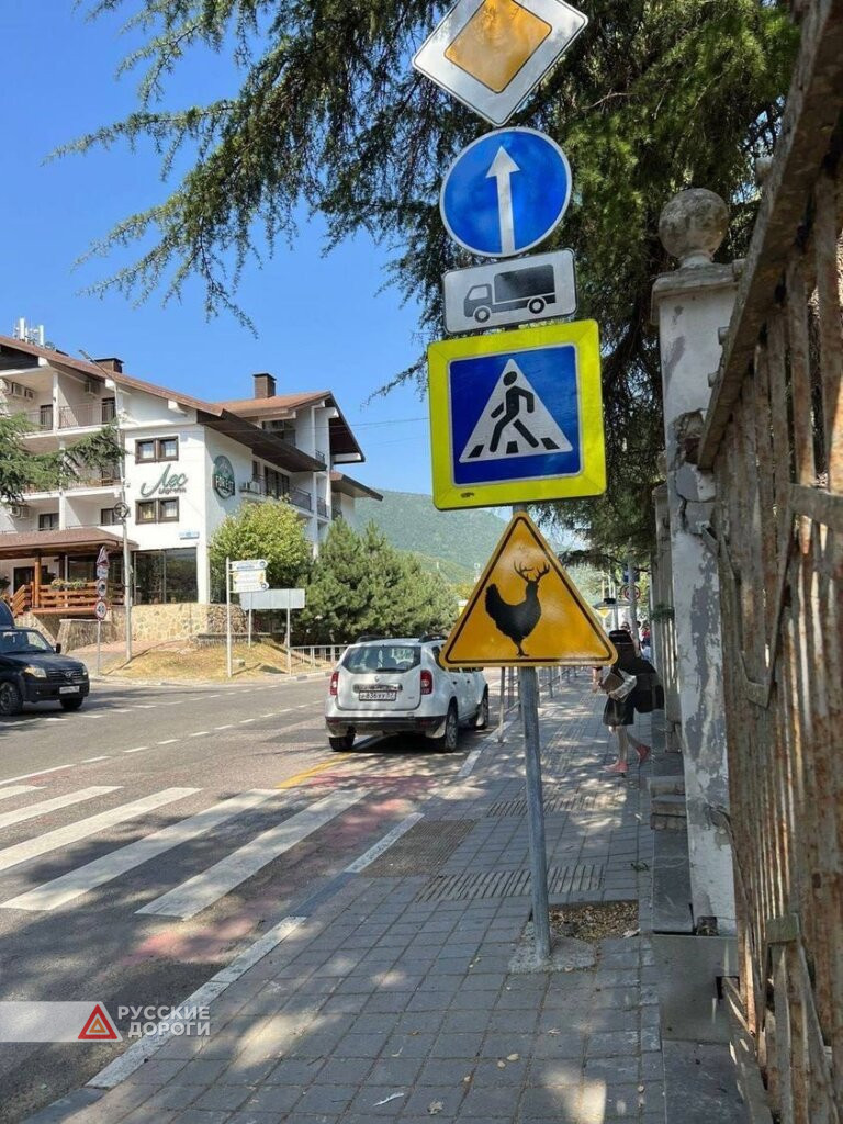 В Сочи появились новые дорожные знаки
