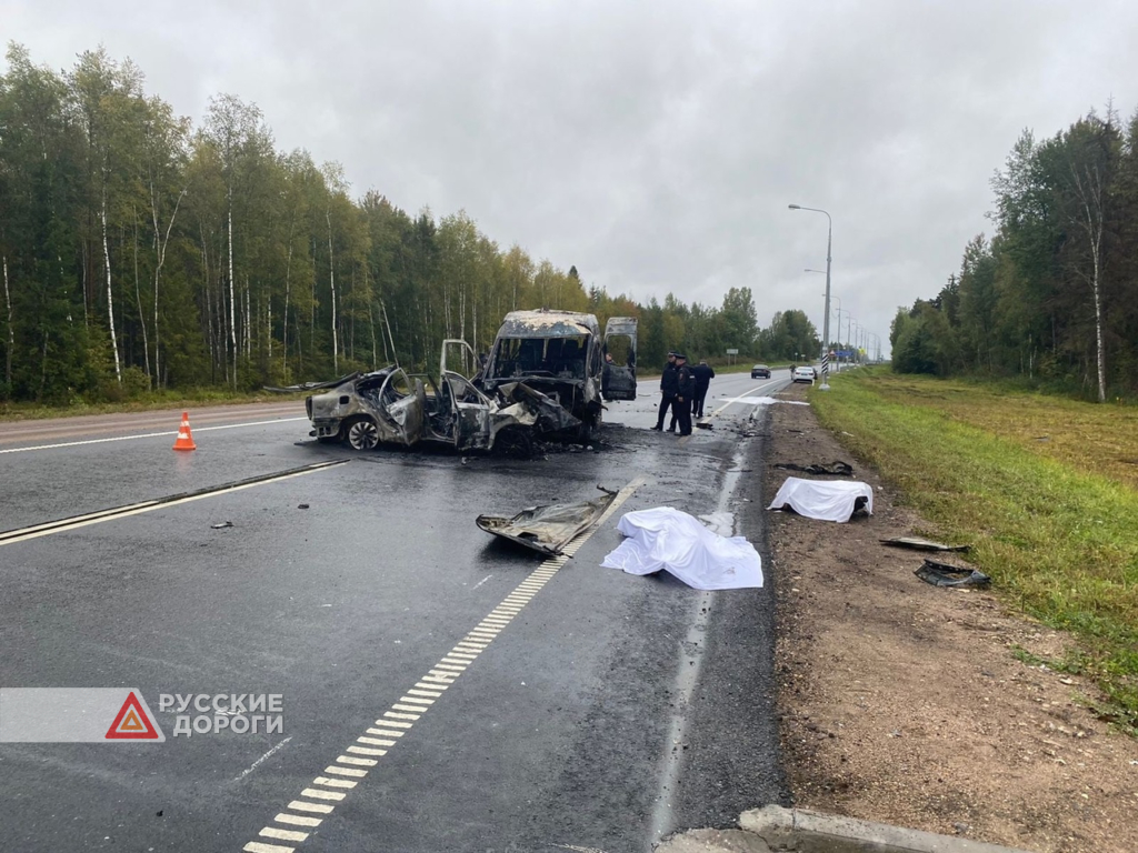 Двое погибли и 12 пострадали в ДТП в Псковской области