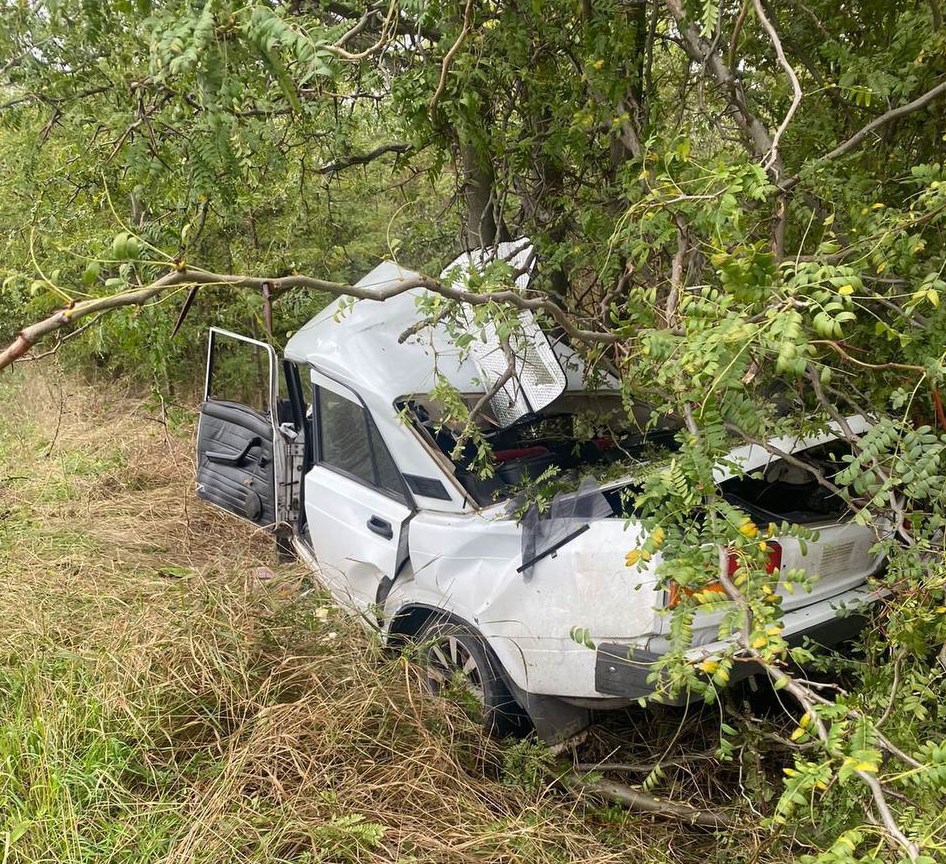 ВАЗ-2107 съехал в кювет и врезался в дерево в Ростовской области