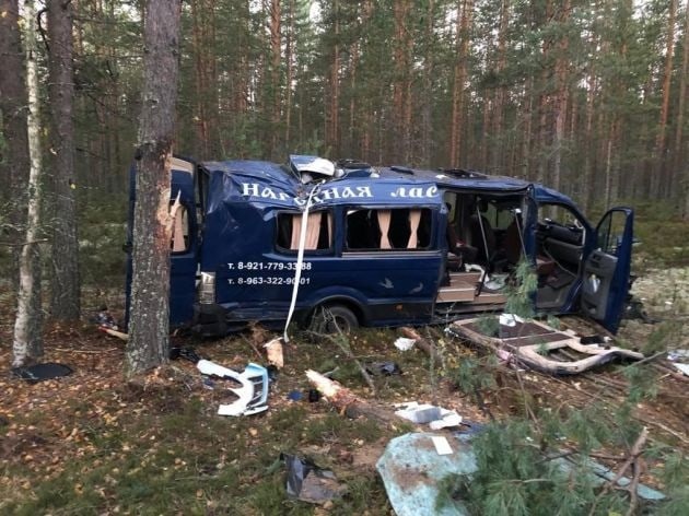 Микроавтобус опрокинулся в кювет в Ленинградской области