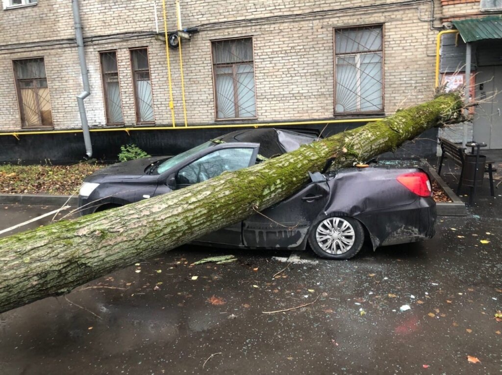 В Москве из-за сильного ветра повреждено более 60 автомобилей
