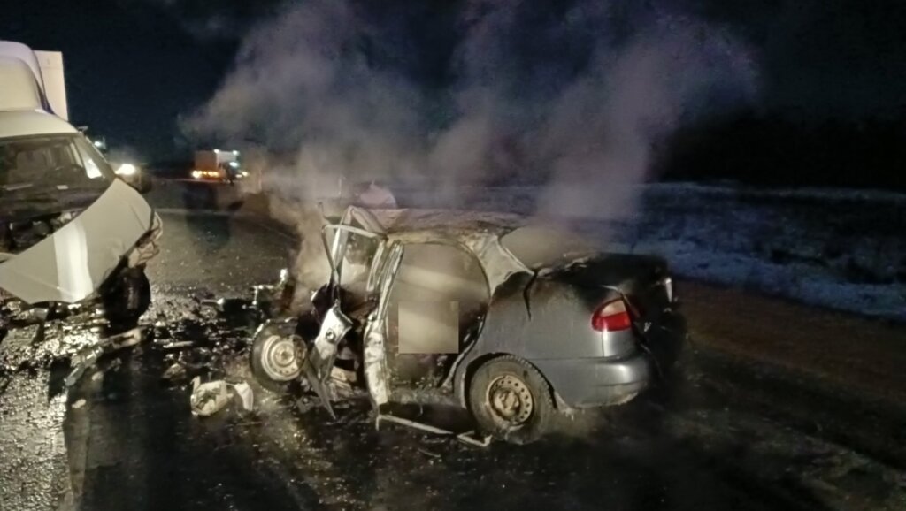 Четыре человека сгорели в автомобиле на трассе под Оренбургом