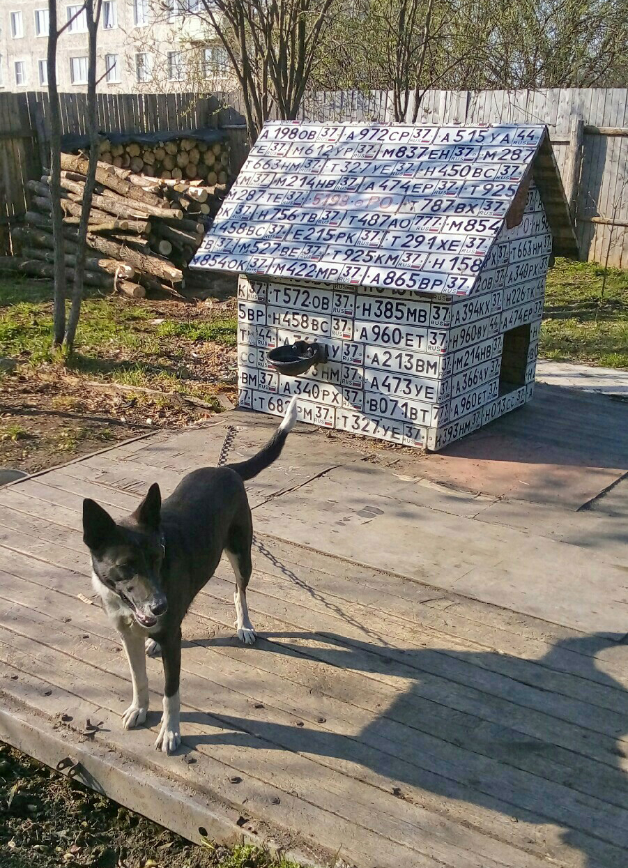 Fallout 4 будка для собаки как фото 117