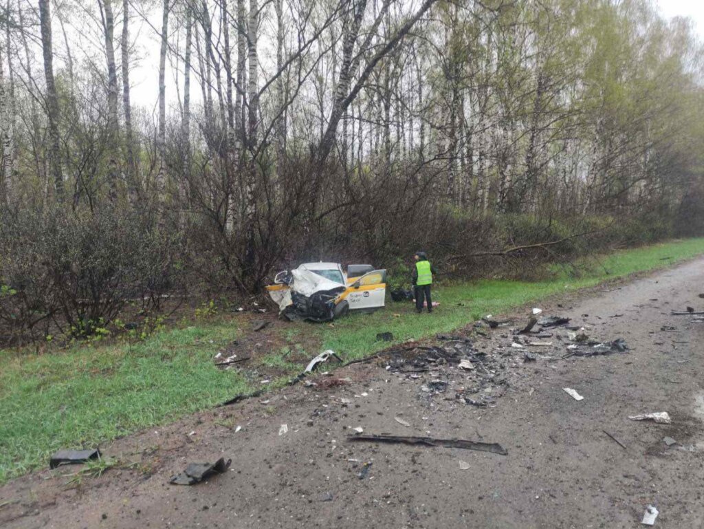 &#171;Таксист уснул за рулем и выехал на встречную&#187;: двое взрослых и ребенок погибли в Нижегородской области