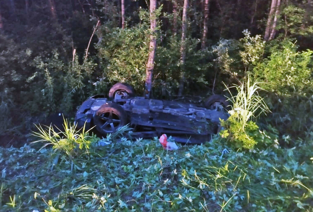 Audi Q5 врезался в дерево в Новгородской области: погибли водитель и пассажир