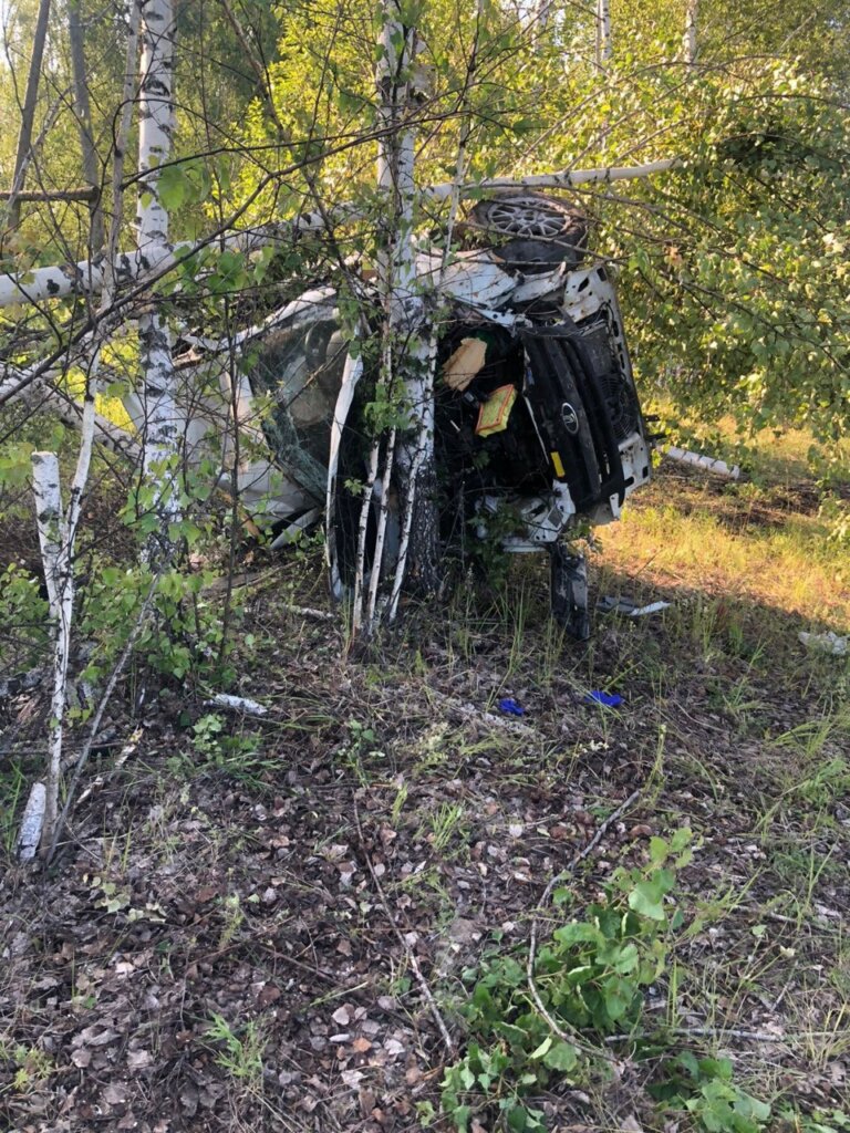 В Кировской области &#171;Лада Гранта&#187; съехала в кювет и врезалась в дерево: двое погибли