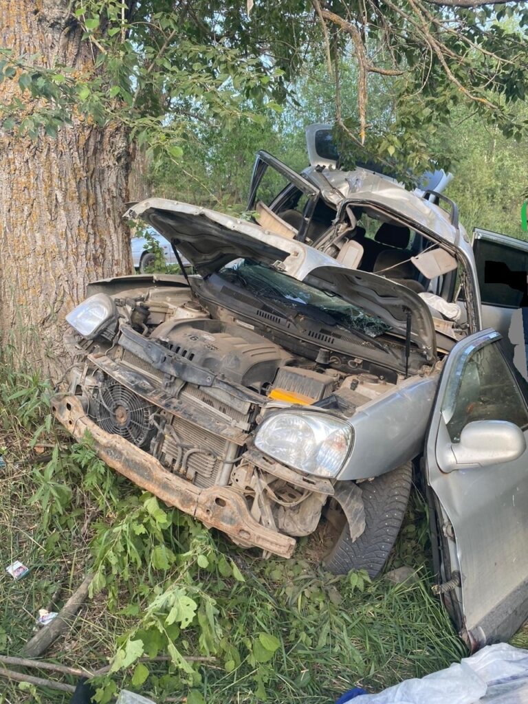 В Тверской области Hyundai Santa Fe врезался в дерево: погибли водитель и пассажир