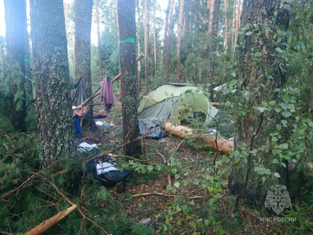 В Марий Эл деревья упали на палатку с людьми: погибли 8 человек