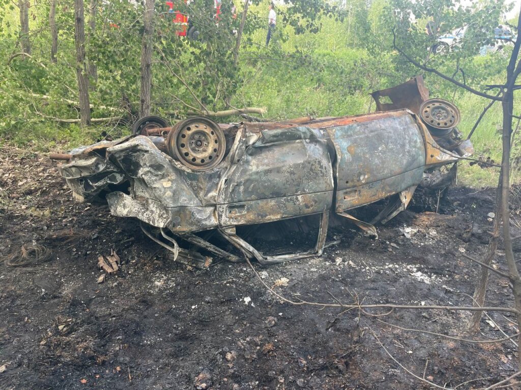 В Курганской области &#171;десятка&#187; вылетела в кювет и загорелась: погибли трое молодых людей