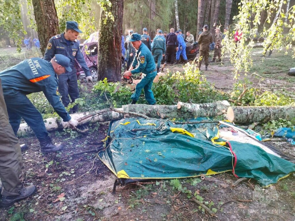 В Марий Эл деревья упали на палатку с людьми: погибли 8 человек