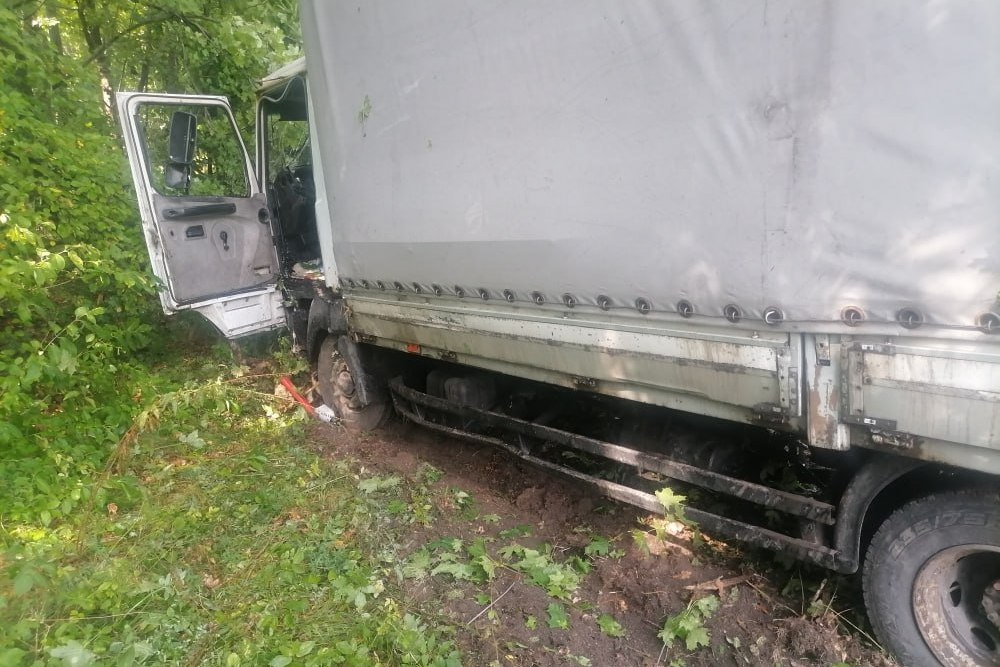 ДТП в Воронежской области: водитель автомобиля Renault Duster совершал обгон через сплошную