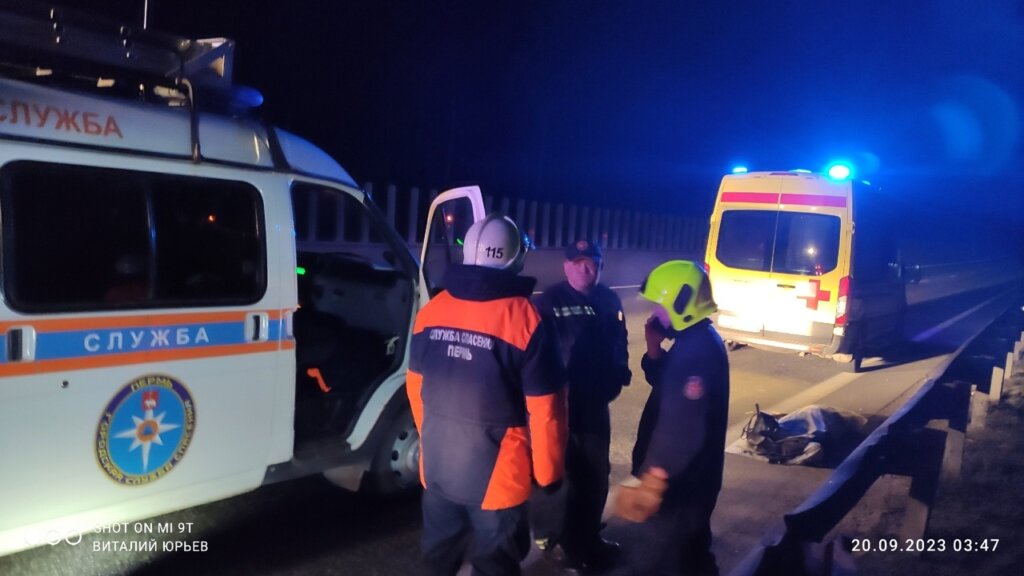 В Перми легковой автомобиль сбил лося: погибла беременная пассажирка