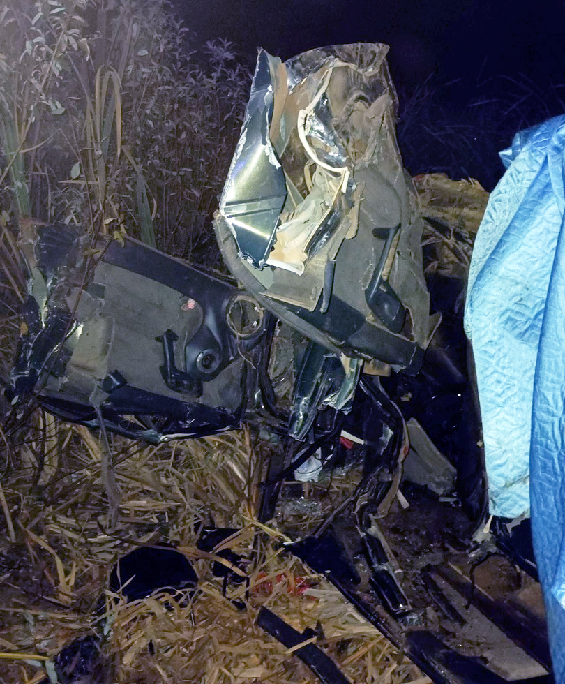 В Перми легковой автомобиль сбил лося: погибла беременная пассажирка