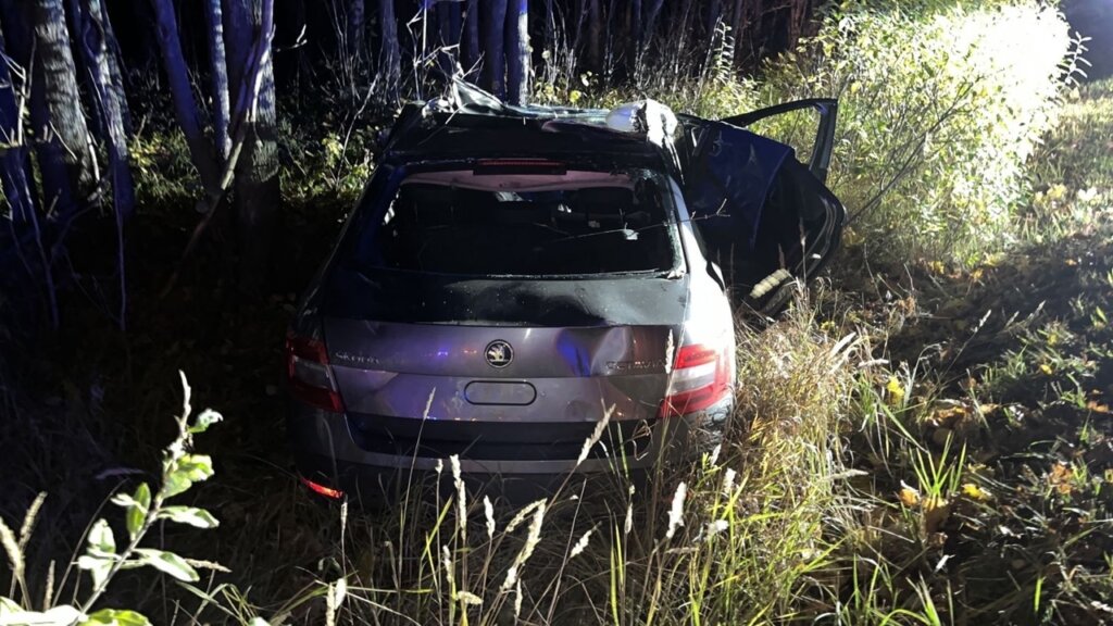 Автомобиль с семьёй сбил лося на загородной дороге: погибли водитель и ребенок