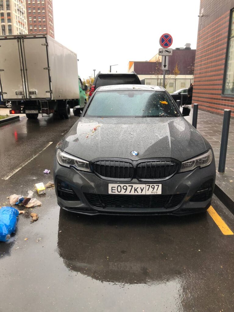 В Подмосковье мешок с мусором упал на припаркованный BMW