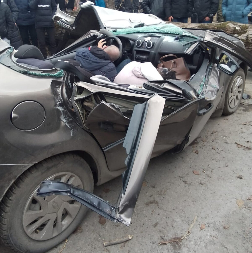 В Новокузнецке дерево упало на проезжающий автомобиль: погибли два человека