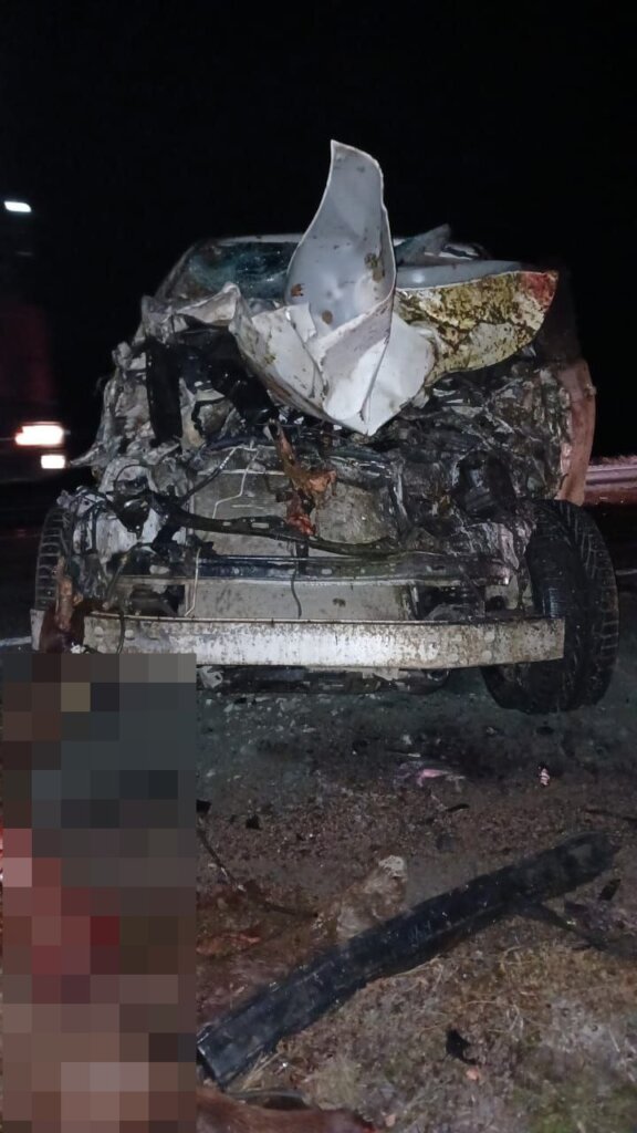 В Оренбургской области пьяный водитель на &#171;Крузаке&#187; въехал в табун лошадей: 14 животных погибли