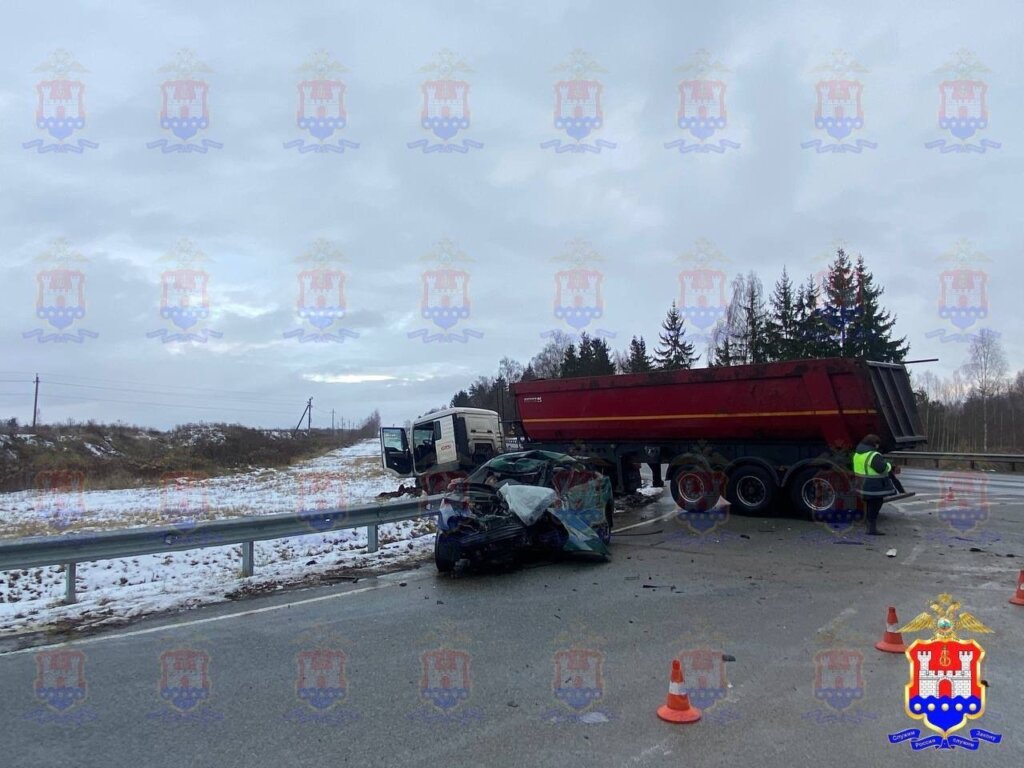 &#171;Вырулил на встречную и убил двух женщин&#187;: ДТП под Калининградом попало в объектив видеорегистратора