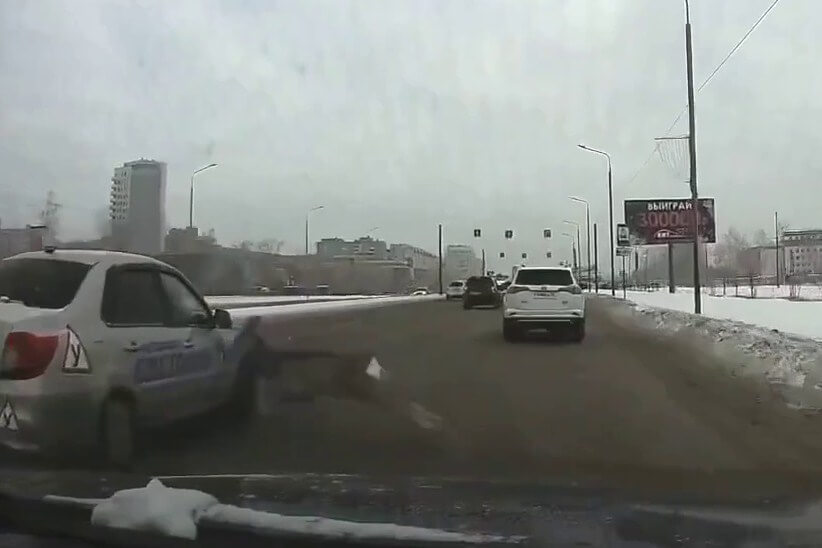 Косуля погибла под колесами учебного автомобиля в Омске