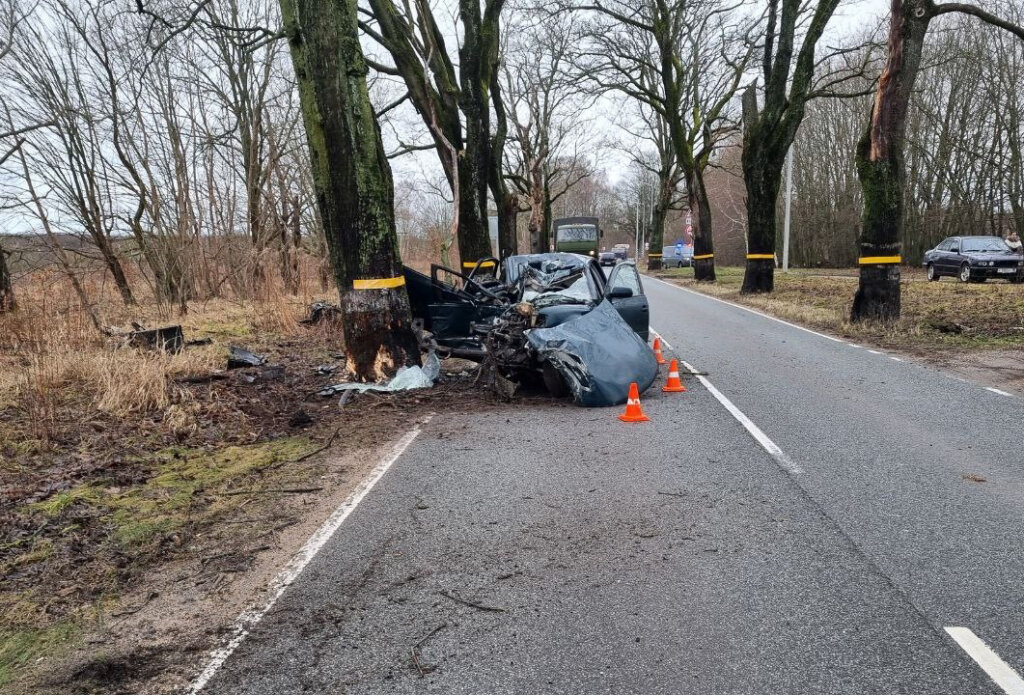 Volkswagen врезался в дерево под Калининградом: водитель погиб