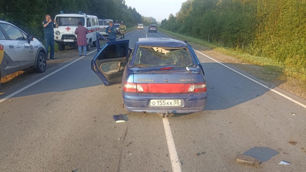 &#171;Лада&#187; сбила лошадь на трассе под Омском