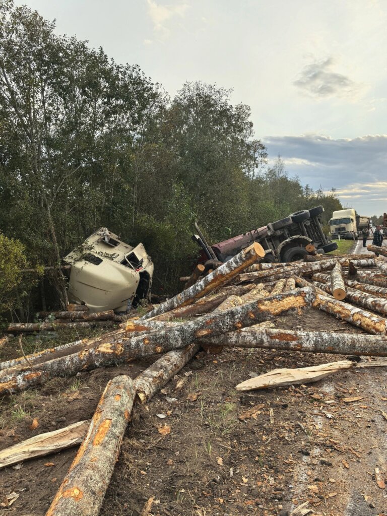 Пункт назначения в Новгородской области: опрокинувшийся прицеп лесовоза едва не убил двух человек