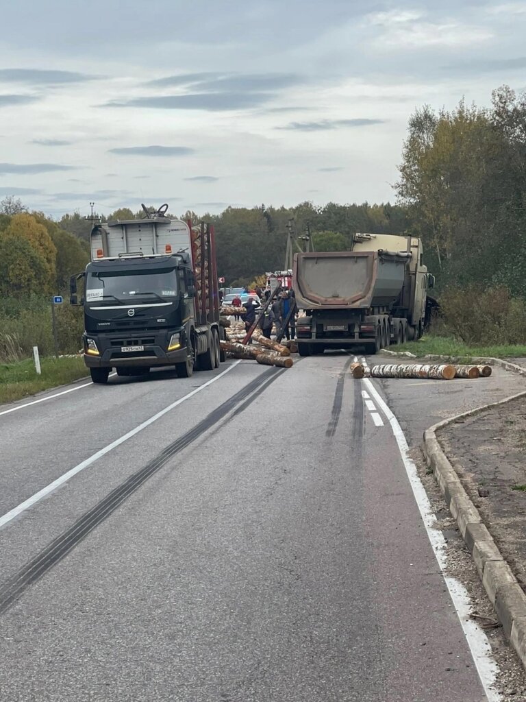 Пункт назначения в Новгородской области: опрокинувшийся прицеп лесовоза едва не убил двух человек