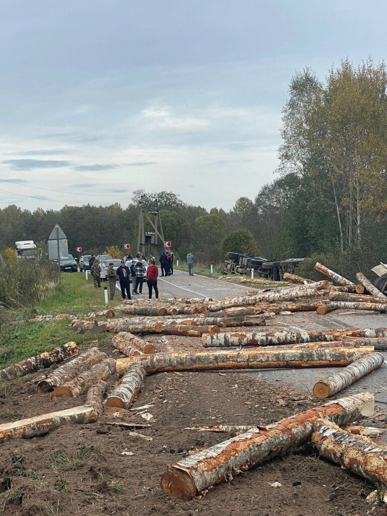 Пункт назначения в Новгородской области: опрокинувшийся прицеп лесовоза едва не убил двух человек