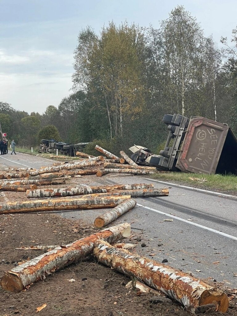 Пункт назначения в Новгородской области: опрокинувшийся прицеп лесовоза едва не убил двух человек