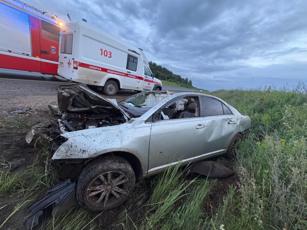 Toyota сбила лося на трассе в Удмуртии