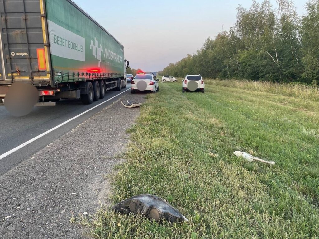 В Саратовской области женщина выехала на встречную полосу и врезалась в автомобиль с семьёй