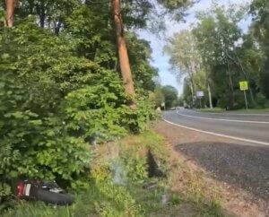 обдерево.jpg