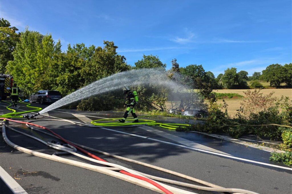 В Германии водитель и двое детей погибли в «Тесле» из-за заблокированных ручек дверей