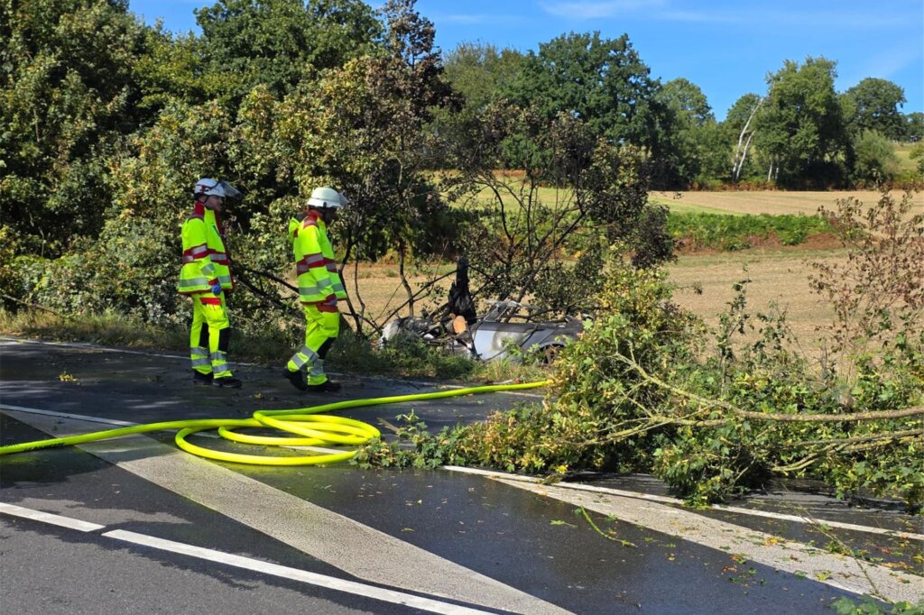 В Германии водитель и двое детей погибли в «Тесле» из-за заблокированных ручек дверей