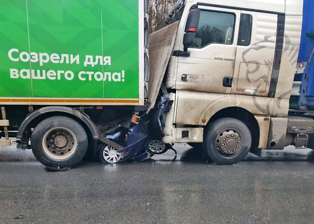 «Смяло в гармошку»: видеорегистратор запечатлел момент массового ДТП на трассе М-2 в Подмосковье